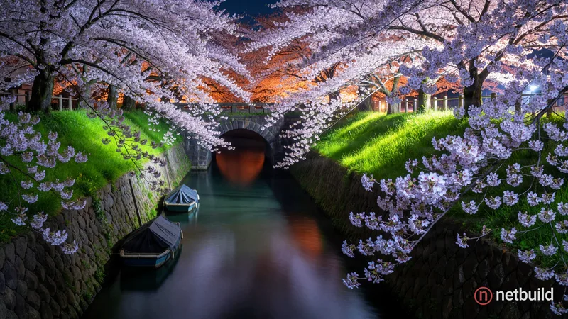 Symmetrical central perspective of a narrow dark canal leading into a stone arched tunnel at night. Massive cherry blossom trees in full bloom lean ov...