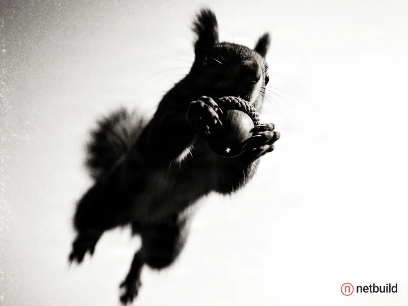 Dynamic high-contrast black and white photograph of a leaping squirrel clutching a textured acorn, suspended mid-air in an explosive jump. Extreme low...