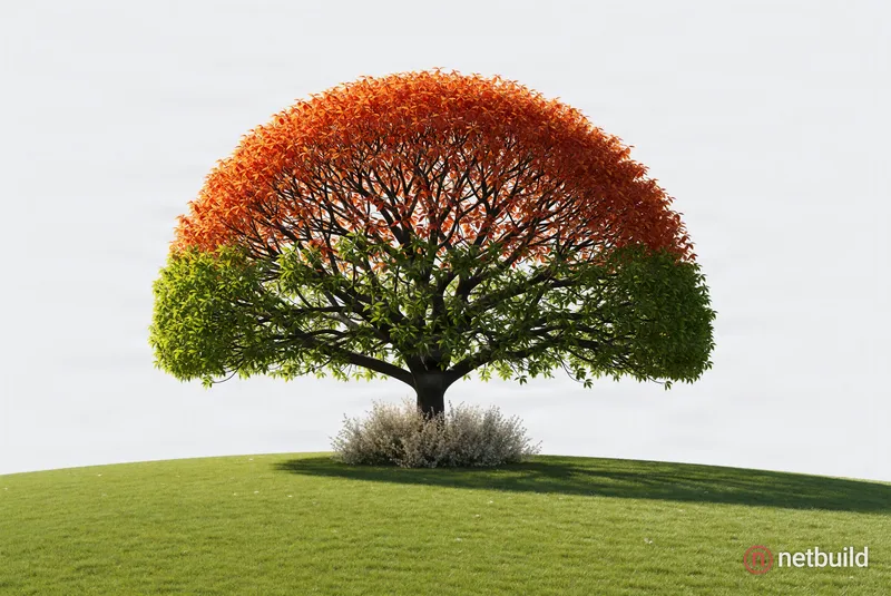 A solitary tree with a perfectly semi-circular canopy stands centered on a smooth, rolling green hill against a stark, minimalist white sky. The intri...